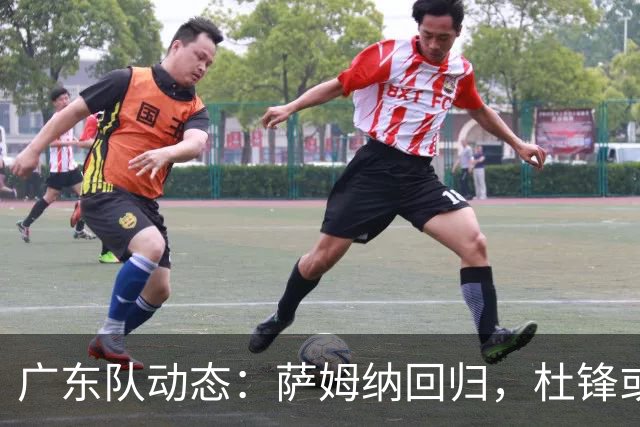 广东队动态：萨姆纳回归，杜锋或将出任国家队主教练？